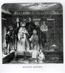Mormondop